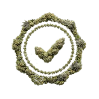 Premium Genetics