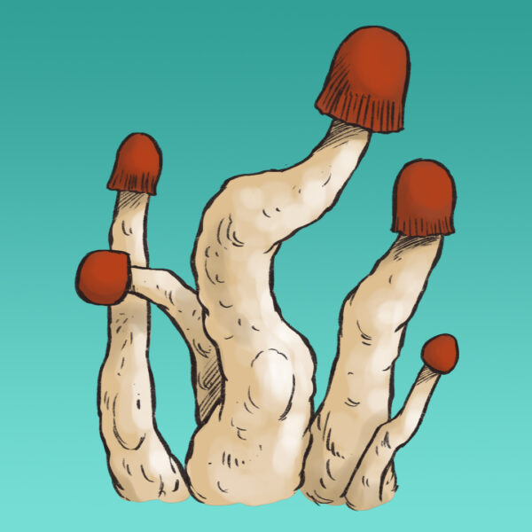 Growkit MVP Full Auto