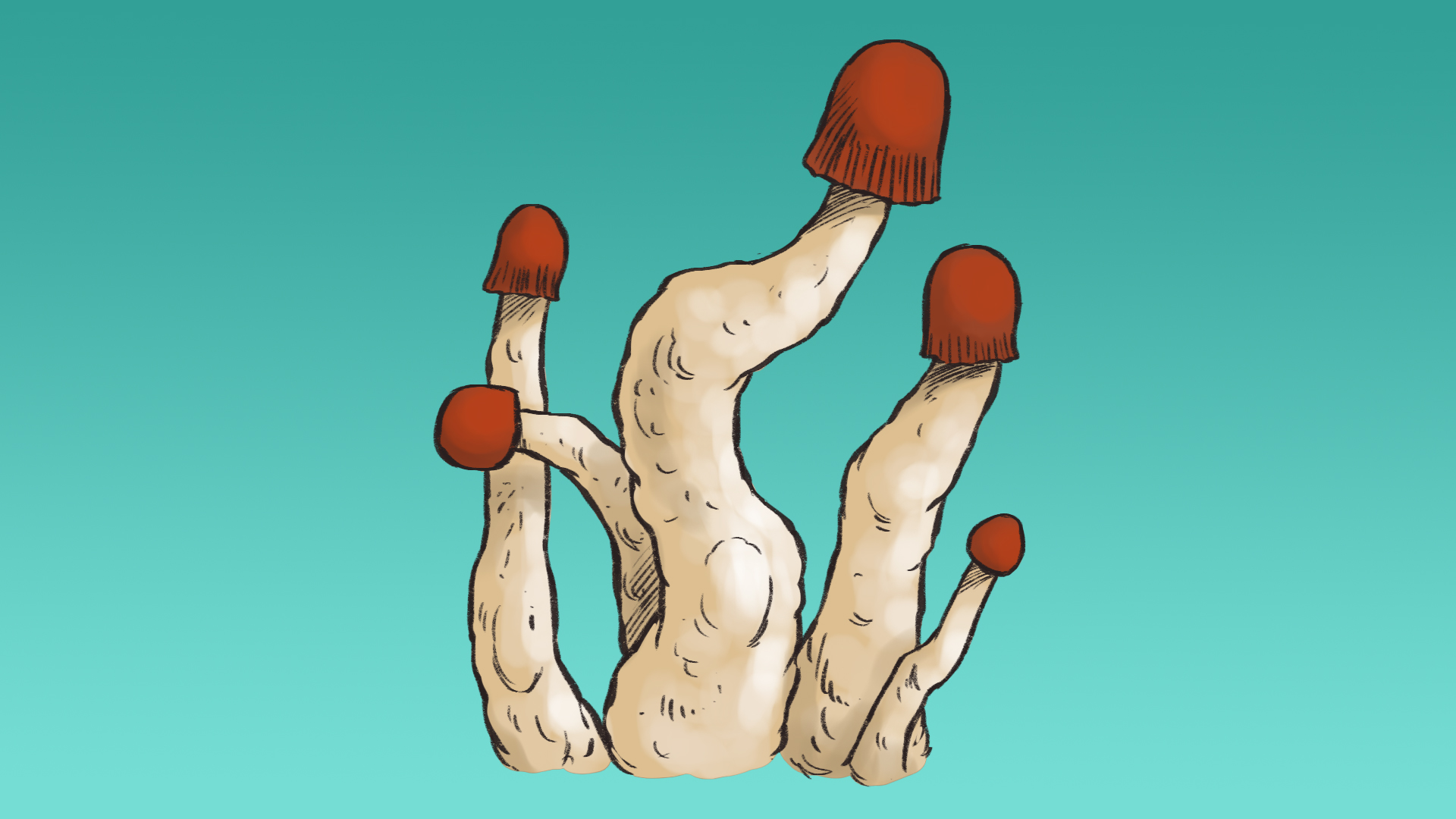 mvp Growkit MVP Full Auto