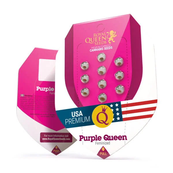 Nasiona Royal Queen Seeds „Purple Queen”