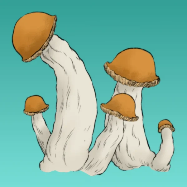 growkit makilla gorilla full auto